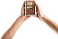Fujifilm INSTAX mini EVO Brown - Type C