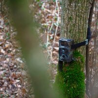 Braun Scouting Cam Black300