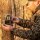 Bushnell Wildkamera 32MP Core DS 4K camo