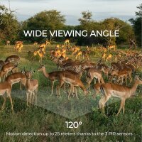 Denver WCL-8040 Wildkamera