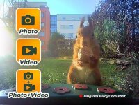 EASYPIX BirdyCam Futterhaus mit Kamera, Solarenergie, Automatische HD-Video- und Fotoaufnahmen von Vögeln, Futterspender für Garten