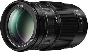 Panasonic Lumix 4,0-5,6/100-300 Power OIS