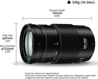 Panasonic Lumix 4,0-5,6/100-300 Power OIS