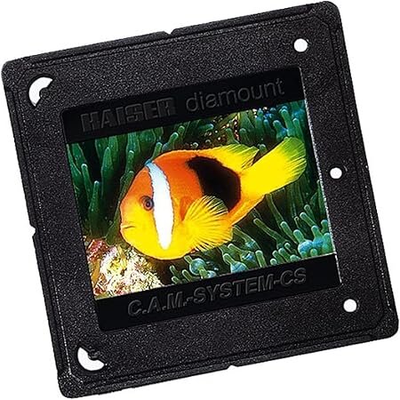 1x100 Kaiser Diarahmen CAM/CS 2156