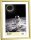 ZEP New Easy gold DIN A4 21x29,7 Kunststoff  Rahmen          KG11