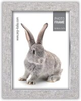 ZEP Doneck B               13x18 Kunststoff  Rahmen...