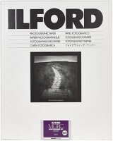 1x100 Ilford MG RC DL 44M 10,5x14,8