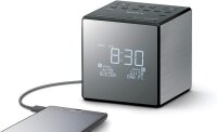 Sony XDR-C1DBP titan/schwarz