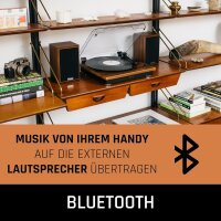 Lenco LS-100WD - Plattenspieler mit Lautsprecher - Schallplattenspieler