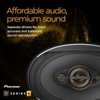 Pioneer TS-A301TW