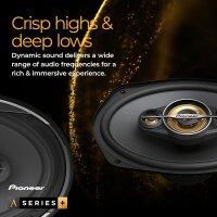 Pioneer TS-A301TW