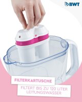 BWT Wasserfilter AQUAlizer 2,6l + 2 Magnesium...