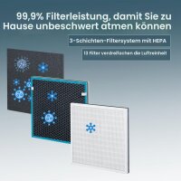 Beurer LR 210 Ersatzfilter