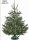KRINNER® Weihnachtsbaum Christbaumständer Vario Classic Grün inkl. Fußpedal-und Einseiltechnik Wasser einfüllbar für Baumhöhe bis 2,6m 94001
