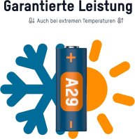 Ansmann A 29 LR 29