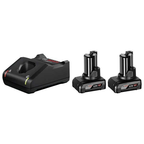 Bosch 2x 6.0Ah, GAL 12V-40 Akku