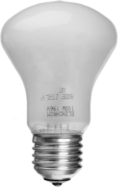 Elinchrom Einstelllicht 196V/100W E 27