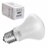 Elinchrom Einstelllicht 196V/100W E 27