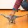 Schleich Dinosaurs         15027 Brontosaurus