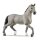 Schleich Horse Club        13956 Cheval de Selle Francais Hengst