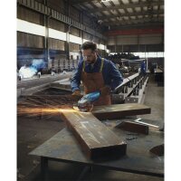 Bosch Winkelschleifer GWS 22-230 J