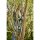 Gardena Akku-Baumschere EasyCut 110/18V P4A solo