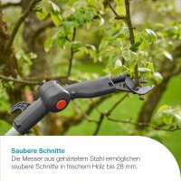 Gardena Akku-Teleskop-Baumschere HighCut 360 P4A 2Ah/18V