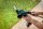 Metabo SGS 18 LTX Q Akku-Strauch- und Grasschere