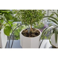 Gardena city gardening Urlaubsbewäss. inkl. Wasserbehälter