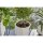 Gardena city gardening Urlaubsbewäss. inkl. Wasserbehälter
