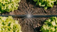 Gardena MDS Tropfbewässerung Set Gemüse-/Blumenbeet 60 qm