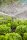 Gardena MDS Tropfbewässerung Set Gemüse-/Blumenbeet 60 qm