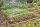 Gardena MDS Tropfbewässerung Set Gemüse-/Blumenbeet 60 qm