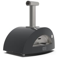 Alfa Forni Moderno 2 Pizze Holz Schiefer Grau