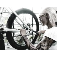 Wera Click-Torque A 6 Drehmomentschlüssel