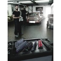 Wera Belt A Deep 1 Steckschlüsseleinsatz-Satz, 1/4"-Antrieb