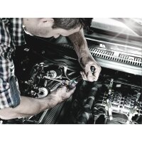 Wera 8767 C TORX HF 2 Zyklop Bitnuss-Satz TORX mit...