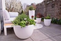 8 seasons Shining Curvy Pot XM Solar