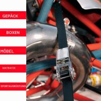 Master Lock Zurrgurte mit Ratsche 3209EURDAT