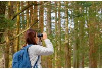 Pentax Jupiter  8x40