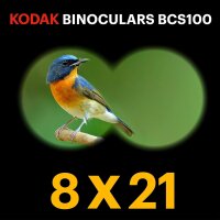 Kodak Fernglas BCS100       8x21 blau