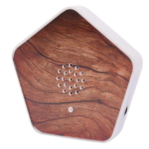 Olympia Sound of Nature Box                          1 Stück