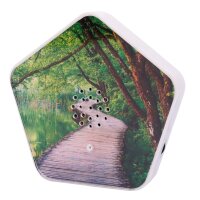 Olympia Sound of Nature Box                          1 Stück