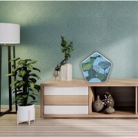 Olympia Sound of Nature Box                          1 Stück