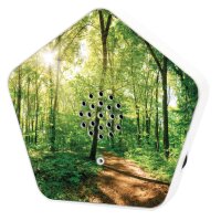 Olympia Sound of Nature Box                          1 Stück
