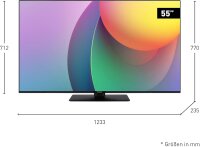 Panasonic TB-55W60AEZ schwarz