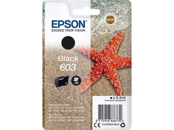 Epson Singlepack Black 603 Ink