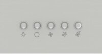 Gorenje WHU629ES/S Unterbauhaube 60cm