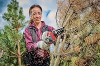 Einhell GE-PS 18/15 Li BL solo Akku-Astkettensäge