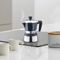 Pedrini 2TZ - MYMOKA INDUCTION
